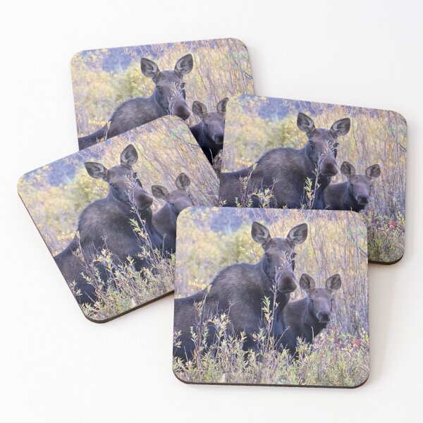 Item preview, Mommy Moose with Baby designed and sold by Betsy Seeton.