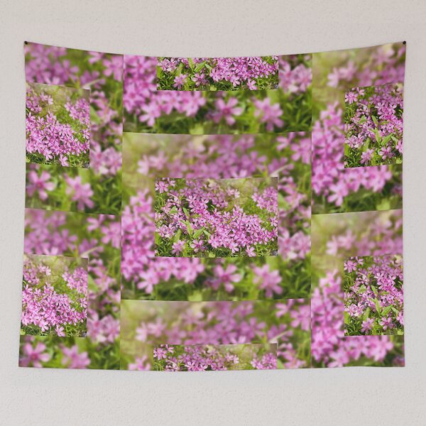 Item preview, Phlox subulata pink flowering designed and sold by Arletta Cwalina.