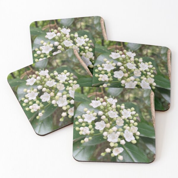 Item preview, Viburnum  In Flower designed and sold by OByD.