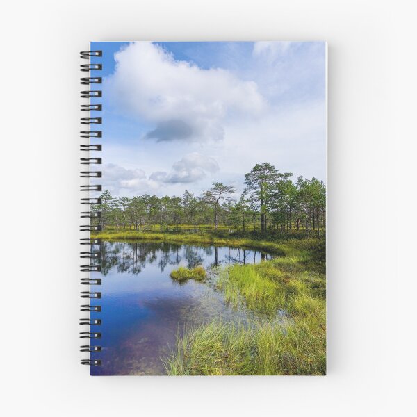 Item preview, Viru Bog designed and sold by DiFigianoPhoto.