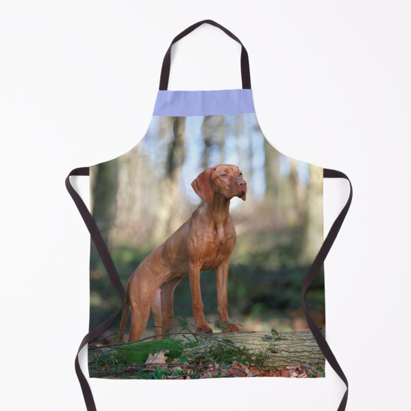 Item preview, fitness,poise and elegance vizslas designed and sold by 1andydesign.