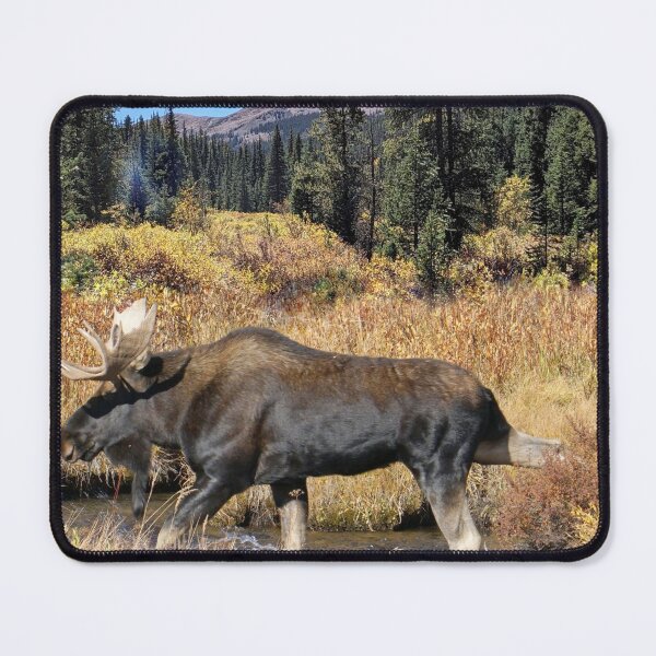 Item preview, Moose designed and sold by Betsy Seeton.