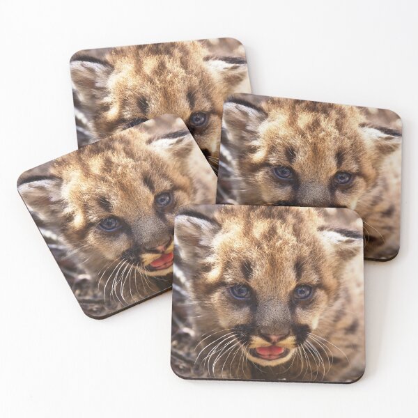 Item preview, Felines, animal collection #luk&arts make a tribute to those you like. designed and sold by LUK0arts.
