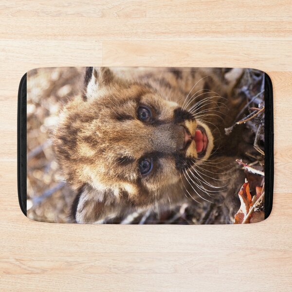 Item preview, Felines, animal collection #luk&arts make a tribute to those you like. designed and sold by LUK0arts.