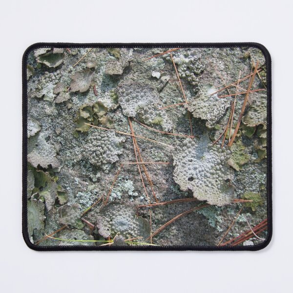 Item preview, Woodland floor-Available As Art Prints-Mugs,Cases,Duvets,T Shirts,Stickers,etc designed and sold by born30.