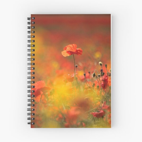 Item preview,  Digital Photograph of sunlit Poppy flower  designed and sold by SimonJohnson1.