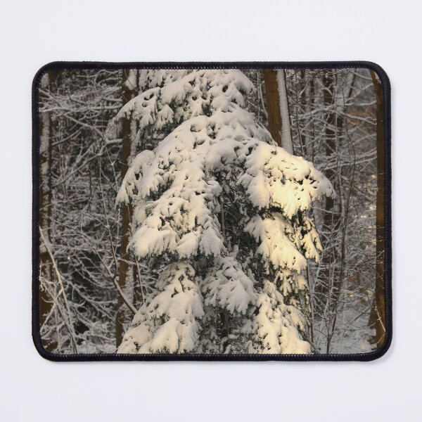 Item preview, Digital Photograph of Snow clad Tree designed and sold by SimonJohnson1.