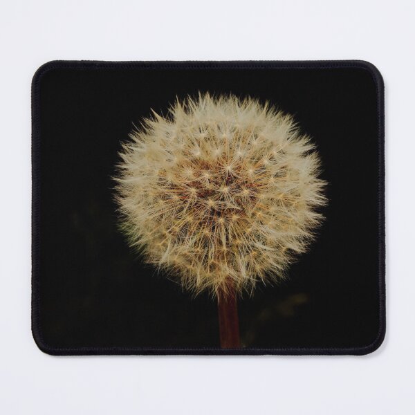 Item preview, Digital photograph of Dandelion seed Head designed and sold by SimonJohnson1.