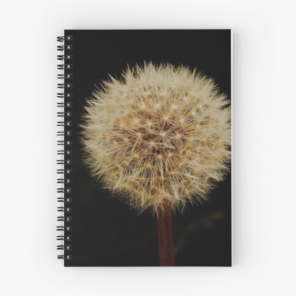 Item preview, Digital photograph of Dandelion seed Head designed and sold by SimonJohnson1.