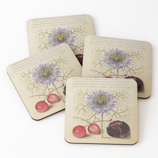 Item preview, Mira calligraphiae monumenta: flower, cherry, chestnut designed and sold by ebrawne.