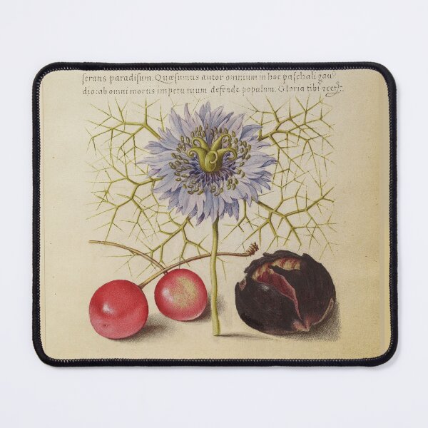 Item preview, Mira calligraphiae monumenta: flower, cherry, chestnut designed and sold by ebrawne.