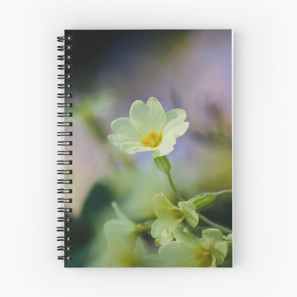 Item preview, Digital Photograph Of Primrose Flower designed and sold by SimonJohnson1.
