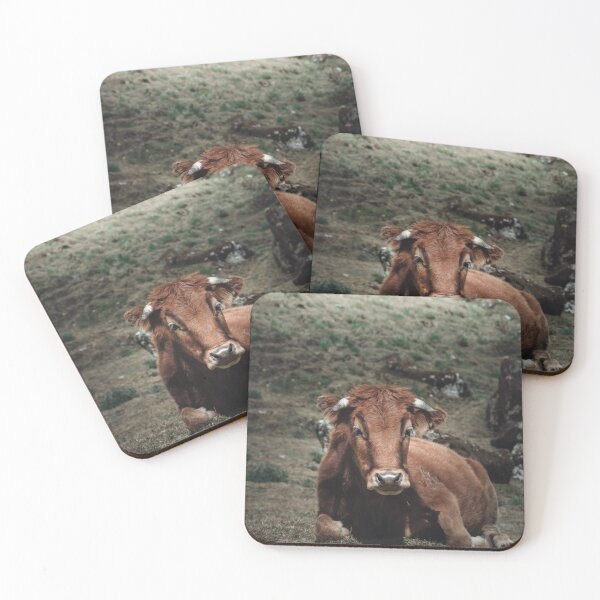 Item preview, Peruvian cow in the mountains | Peru designed and sold by photofelix-.