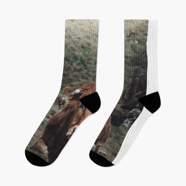 Item preview, Peruvian cow in the mountains | Peru designed and sold by photofelix-.