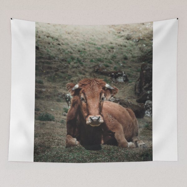 Item preview, Peruvian cow in the mountains | Peru designed and sold by photofelix-.