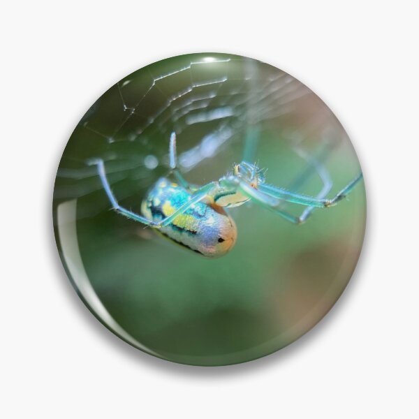 Item preview, Radiant Spider designed and sold by NearScapes.