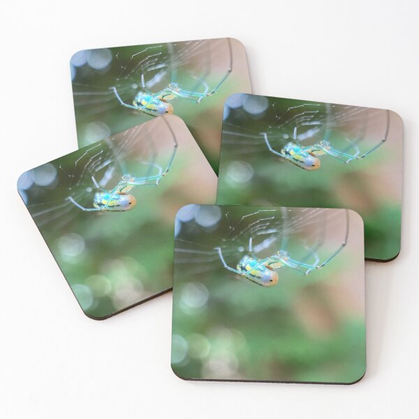 Item preview, Radiant Spider designed and sold by NearScapes.