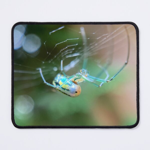 Item preview, Radiant Spider designed and sold by NearScapes.