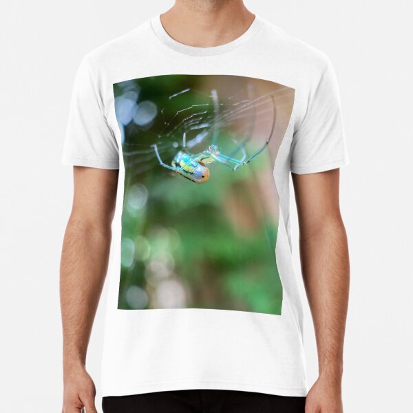 Item preview, Radiant Spider designed and sold by NearScapes.