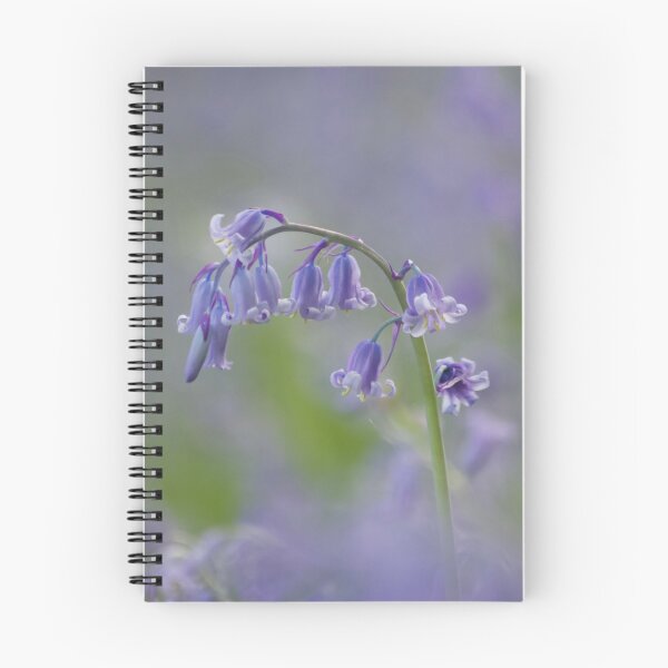 Item preview, Digital Photograph Of Bluebell flower designed and sold by SimonJohnson1.