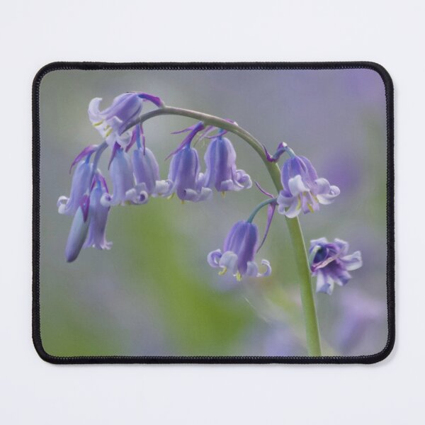 Item preview, Digital Photograph Of Bluebell flower designed and sold by SimonJohnson1.