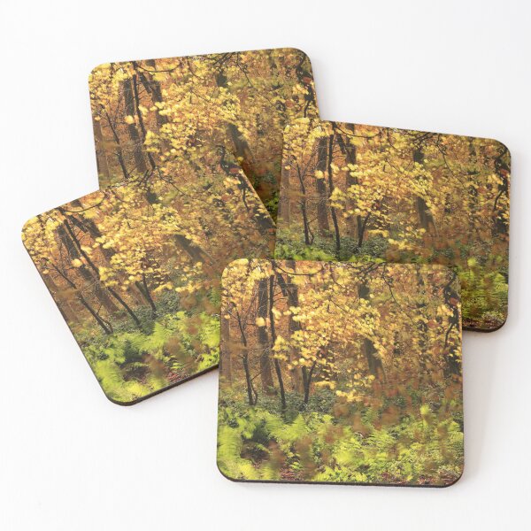 Item preview, Digital Photograph of autumn Leaves and wind blown ferns designed and sold by SimonJohnson1.