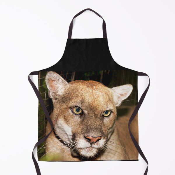 Item preview, Felines, animal collection #luk&arts make a tribute to those you like. designed and sold by LUK0arts.