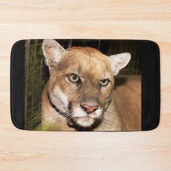 Item preview, Felines, animal collection #luk&arts make a tribute to those you like. designed and sold by LUK0arts.