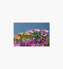 Spring flowers Art Board