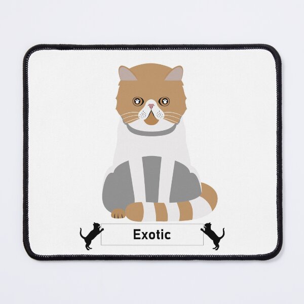 Item preview, Raza de gato exótico - Estilo de arte de dibujos animados designed and sold by EdKid.