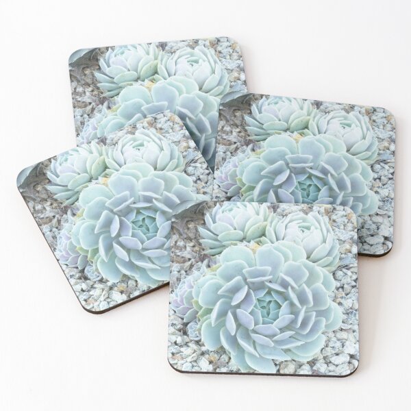 Item preview, Cactus in Garden at High Key designed and sold by Alchymie.