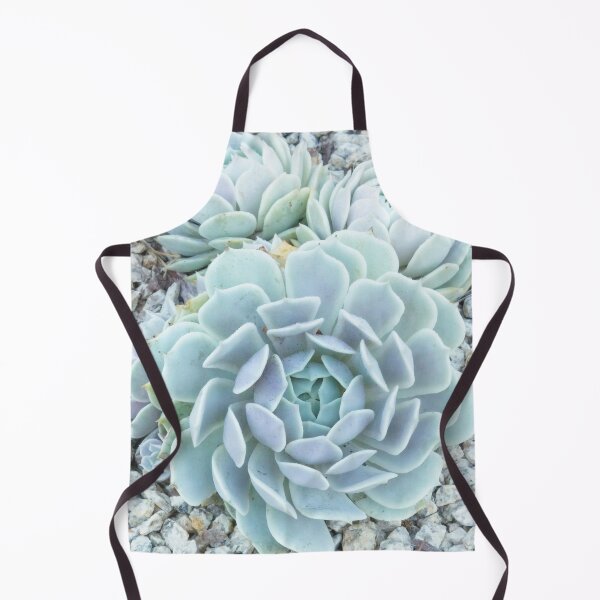 Item preview, Cactus in Garden at High Key designed and sold by Alchymie.