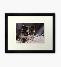 Tesla Framed Print