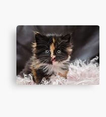 Tesla Canvas Print