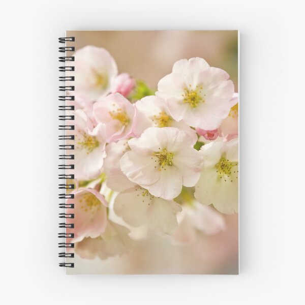 Aperçu de l'œuvre Photographie numérique de Spring Blossom créée et vendue par SimonJohnson1.