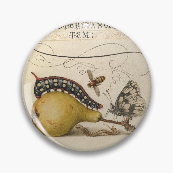 Item preview, Caterpillar, Pear, Fly and Centipede: ca 1500's designed and sold by ebrawne.