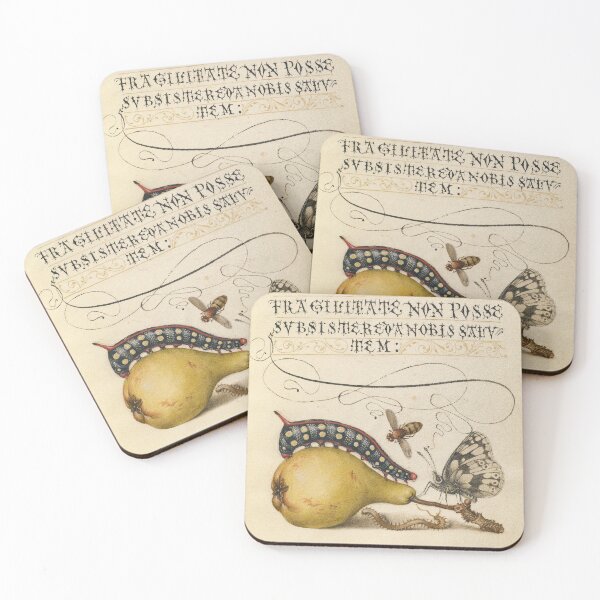 Item preview, Caterpillar, Pear, Fly and Centipede: ca 1500's designed and sold by ebrawne.