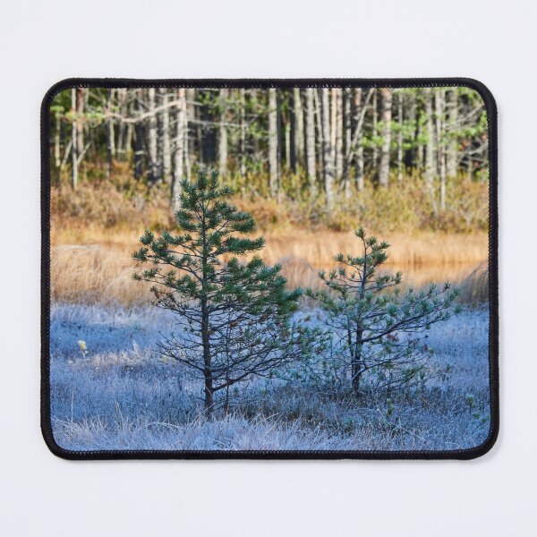 Item preview, Blue day morning. Kivikesku designed and sold by Jouko Lehto Photography.