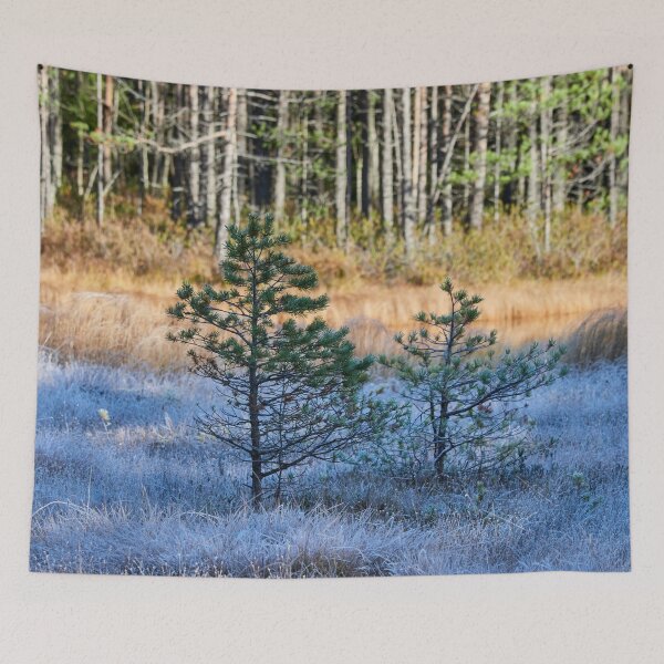 Item preview, Blue day morning. Kivikesku designed and sold by Jouko Lehto Photography.