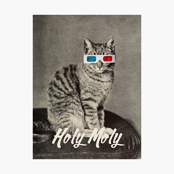 Holy Moly - Cat in 3D glasses Photographic Print