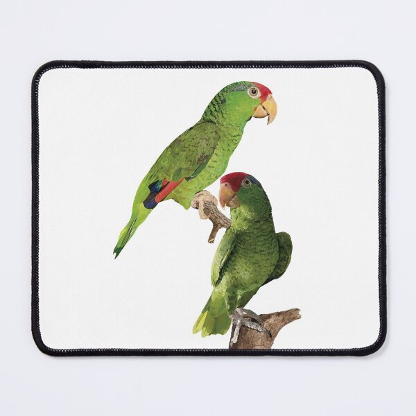 Item preview, The Tamaulipas parrot designed and sold by obscurite.