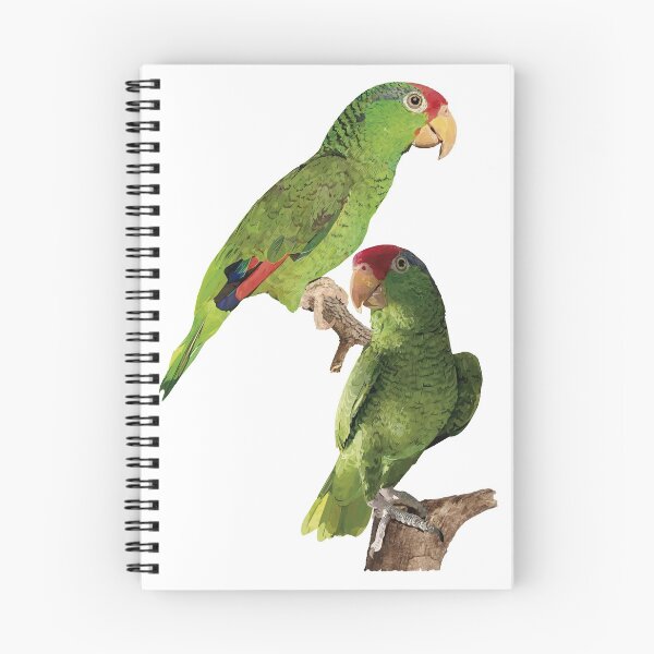 Item preview, The Tamaulipas parrot designed and sold by obscurite.