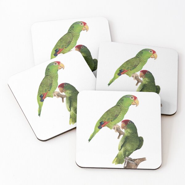 Item preview, The Tamaulipas parrot designed and sold by obscurite.