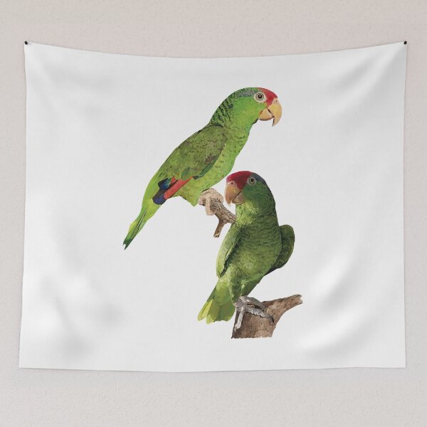 Item preview, The Tamaulipas parrot designed and sold by obscurite.