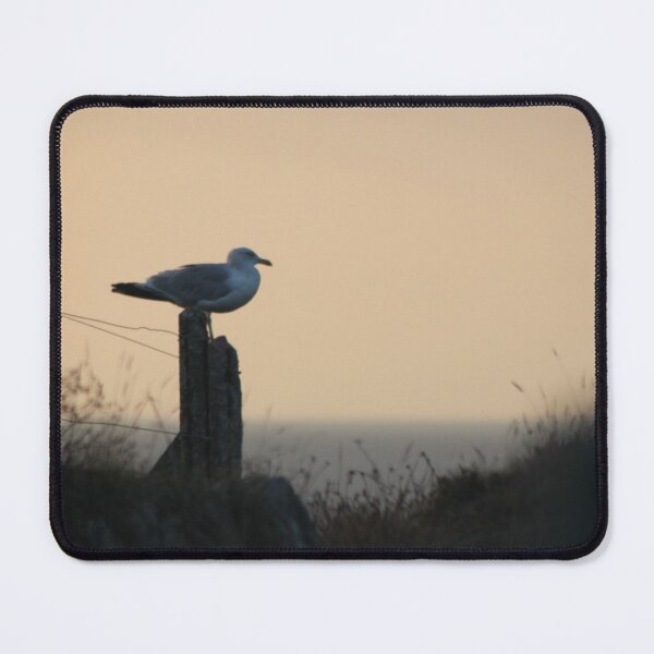Item preview, North Cornwall Seagull designed and sold by Emma  Amies.
