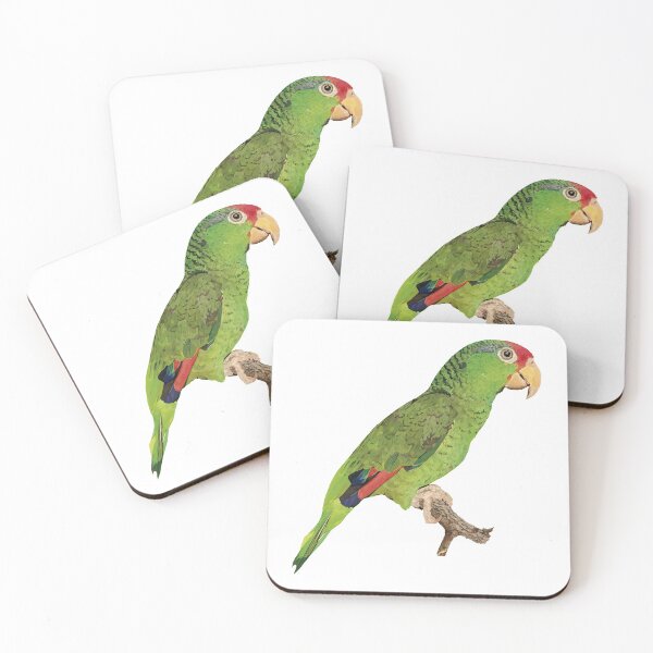 Item preview, The Tamaulipas parrot designed and sold by obscurite.