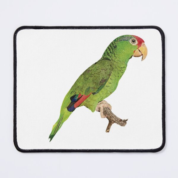 Item preview, The Tamaulipas parrot designed and sold by obscurite.