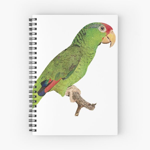 Item preview, The Tamaulipas parrot designed and sold by obscurite.