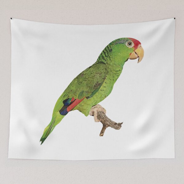 Item preview, The Tamaulipas parrot designed and sold by obscurite.