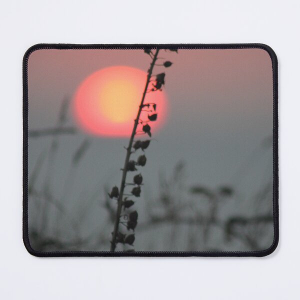 Item preview, Cornish sunset near Perranporth, Cornwall, UK designed and sold by Emma Amies.